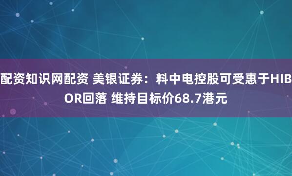 配资知识网配资 美银证券：料中电控股可受惠于HIBOR回落 维持目标价68.7港元